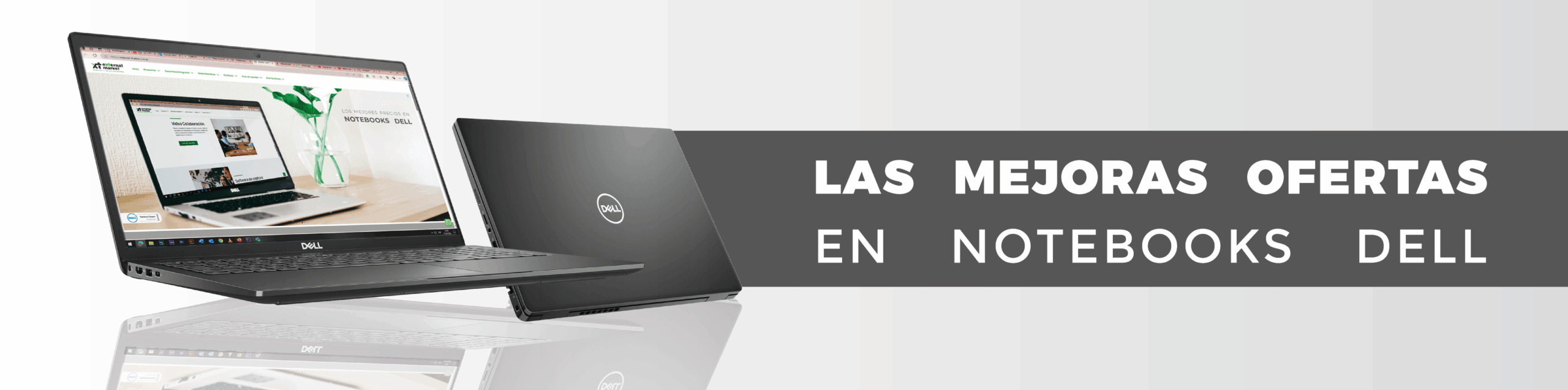 banners chicos_Dell-01